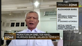 Stok Bijih Nikel Terbatas,Tepat Pembangunan Smelter Dibatasi?