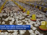 Astaga, Ada Virus Gentayangan, RI Terancam Krisis Pangan Ini