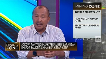 Penambang Resah Hadapi Larangan Ekspor Bauksit, Apa Sebabnya?