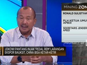 Penambang Resah Hadapi Larangan Ekspor Bauksit, Apa Sebabnya?