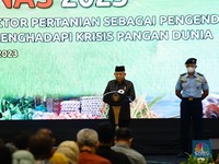 Tiba-tiba Wapres Minta Konsumsi Beras RI Dipangkas, Ada Apa?