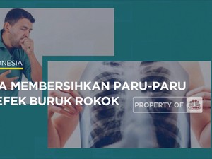 5 Cara Membersihkan Paru-Paru Dari Efek Buruk Rokok