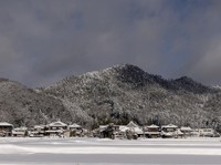 Hujan Salju Dahsyat Hantam Jepang, 46 Tewas-558 Luka