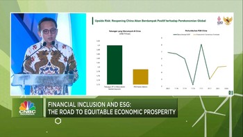 Video: Jurus Pengembangan UMKM Lewat Investasi & Digitalisasi