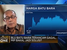 Tarik Ulur Skema Pungutan Iuran Batu Bara, Mana Yang Tepat?