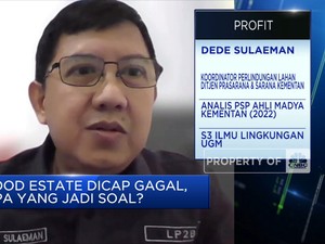 Video: Kementan Sebut Food Estate Tak Gagal, Ini Progresnya!