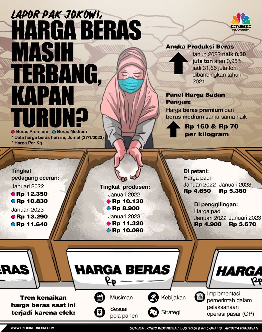 Lapor Pak Jokowi, Harga Beras Masih Terbang, Kapan Turun?