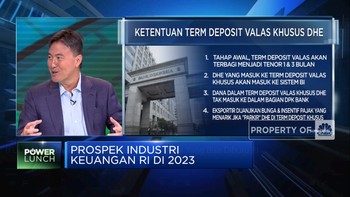 Selain DHE, Ini Sumber Pemasukan Dolar Yang Bisa Diburu RI