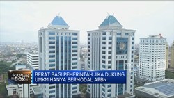 Video: Sri Mulyani: Dukung UMKM Gak Bisa Hanya Bermodal APBN!