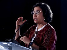 Sri Mulyani: RI 'The Bright Spot' Dunia, Ternyata Istilah IMF