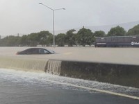 Telan Korban Jiwa, Begini Potret Seram Banjir Selandia Baru