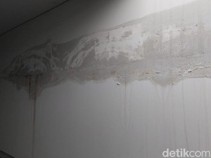 7 Jurus Jitu Atasi Dinding Rembes Saat Musim Hujan