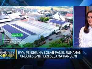 Sokong Bauran Energi RI, SUN Energy Genjot Investasi PLTS