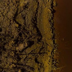 Ada Peringatan Radioaktif di Tetangga RI, Gegara Raksasa Ini