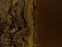 Ada Peringatan Radioaktif di Tetangga RI, Gegara Raksasa Ini