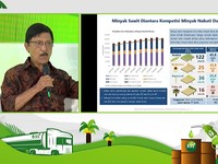 BPDPKS: Program B35 Sebenarnya Untuk Menstabilisasi Harga CPO