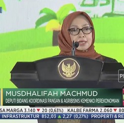 16 Juta Rakyat Indonesia Bergantung pada Ekonomi Kelapa Sawit