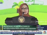16 Juta Rakyat Indonesia Bergantung pada Ekonomi Kelapa Sawit