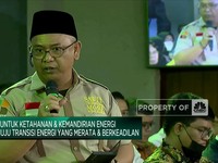 Harapan Petani Sawit, Program B35 Dongkrak Harga TBS Sawit
