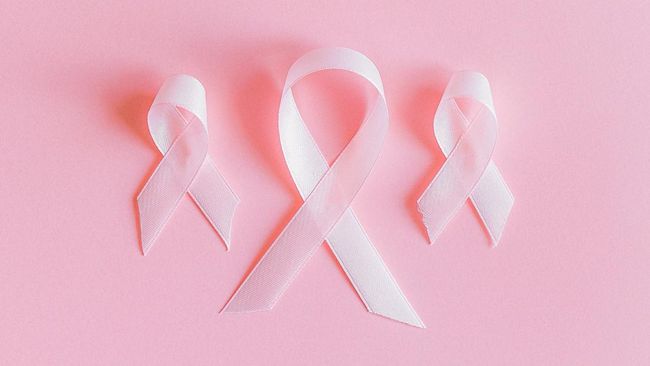Hasil Riset, Ayah Gemuk Tingkatkan Risiko Kanker Payudara Pada Anak  Perempuan - Tribunjabar.id