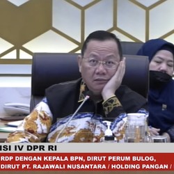 Rapat Dengan Bulog kok DPR Tiba-tiba Sentil BPS, Ada Apa?