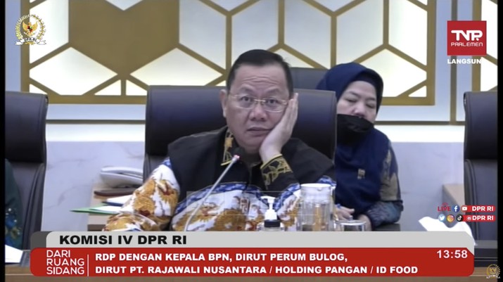 Kepala Badan Pangan Nasional (Bapanas) Arief Prasetyo Adi saat RDP dengan Komisi VI DPR, Selasa (31/1/2023). (Tangkapan Layar Youtube Komisi IV DPR RI Channel)