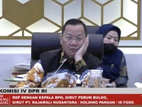 Rapat Dengan Bulog kok DPR Tiba-tiba Sentil BPS, Ada Apa?