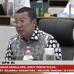 DPR Cecar Soal Harga Beras, Bapanas Ungkap Biang Keroknya