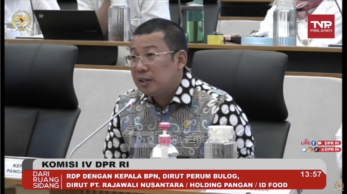 Kepala Badan Pangan Nasional (Bapanas) Arief Prasetyo Adi saat RDP dengan Komisi VI DPR, Selasa (31/1/2023). (Tangkapan Layar Youtube Komisi IV DPR RI Channel)