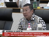 Wow! Bapanas Minta Tambahan Duit Rp1,2 Triliun, Ini Kata DPR