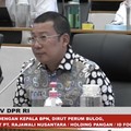 Bos Bapanas Curhat ke DPR: Gaji Kecil & Sempat Tak Dibayar