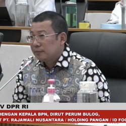 Bos Bapanas Curhat ke DPR: Gaji Kecil & Sempat Tak Dibayar