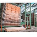 IPO Wijaya Cahaya Timber Murah, Mau Beli?