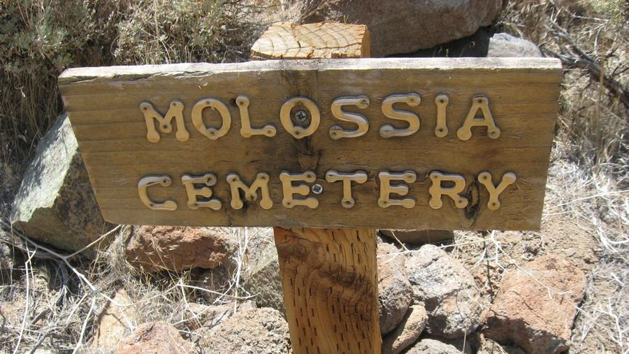 Signs mark the Molossia cemetery for pets. (Photo by Colleen Mastony/Chicago Tribune/Tribune News Service via Getty Images)