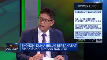 Bos LPS: Kita Akan "Paksa" Bank Perluas Penyaluran Kredit