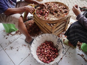 Pasutri Ini Hobi Mulung Sampah Sayuran di Pasar untuk Dimasak