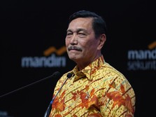 Cuma Orang Ini yang Berani Tipu Luhut, Siapa Dia?