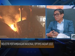 Pahala Mansury:Target Investasi Baterai Listrik Rp 90 Triliun