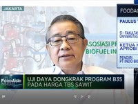Video: Ambisi RI Jadi Penentu Harga CPO Dunia, Mungkin Gak?