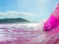 Ombak di Pantai Amerika Mendadak Berubah Jadi Pink, Ada Apa?