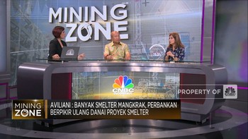 Pak Jokowi, Ini Alasan Bank "Ragu" Beri Kredit Proyek Smelter