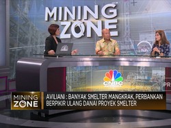 Pak Jokowi, Ini Alasan Bank "Ragu" Beri Kredit Proyek Smelter