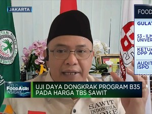 Petani Harap Program B35 Dongkrak Harga TBS Sawit, Berhasil?