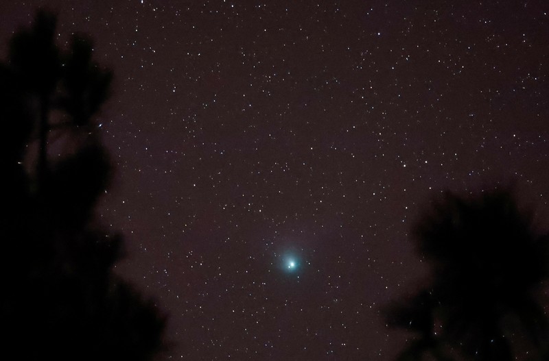SPACE-EXPLORATION/COMET A green comet named Comet C/2022 E3 (ZTF), which last passed by our planet about 50,000 years ago, is seen from the Pico de las Nieves, in the island of Gran Canaria, Spain, February 1, 2023. REUTERS/Borja Suarez TPX IMAGES OF THE DAY