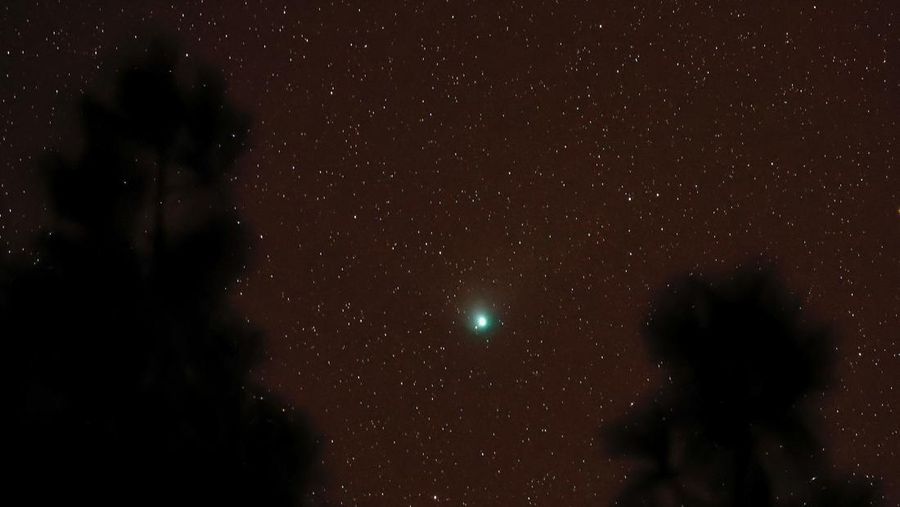 A green comet named Comet C/2022 E3 (ZTF), which last passed by our planet about 50,000 years ago is seen from the Pico de las Nieves, in the island of Gran Canaria, Spain, February 1, 2023. REUTERS/Borja Suarez