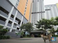 Penampakan Wisma Atlet Kosong Melompong Tak 'Berpenghuni'