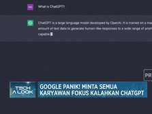 Google Panik! Minta Semua Karyawan Fokus Kalahkan ChatGPT