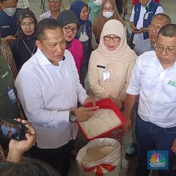 Kepala Bapanas: Siap-Siap Panen Raya Mulai Akhir Februari!