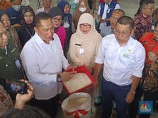 Kepala Bapanas: Siap-Siap Panen Raya Mulai Akhir Februari!