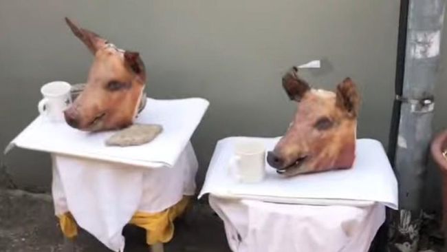 Prancis Geger, Teror Kepala Babi Serang 9 Masjid di Paris